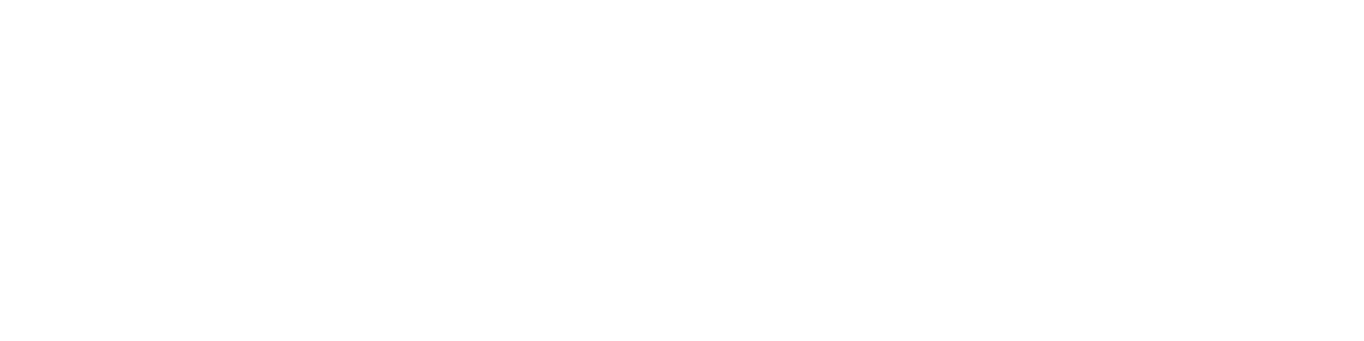 Polar Night Capital